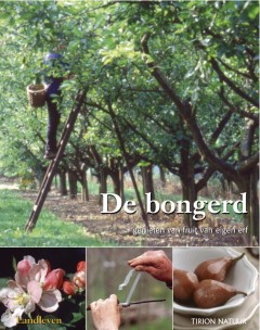 De Bongerd